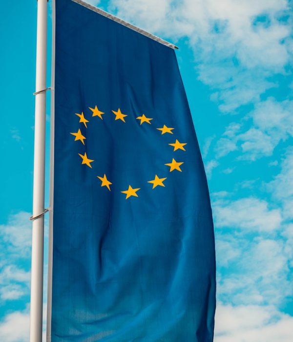 blue and yellow stars flag on pole